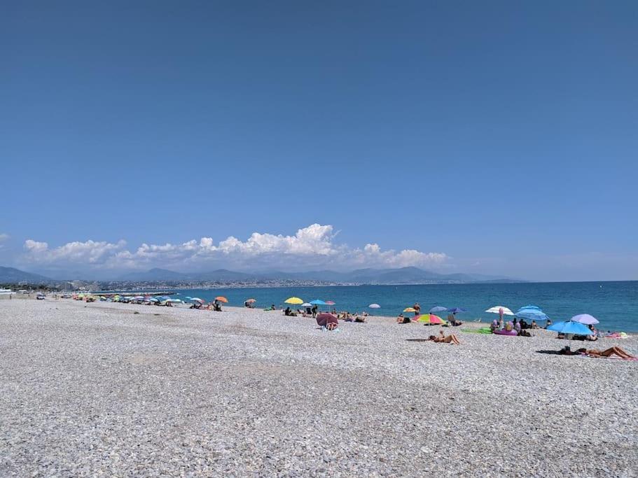 Apartment Superb In Provenzal With Pool Antibes